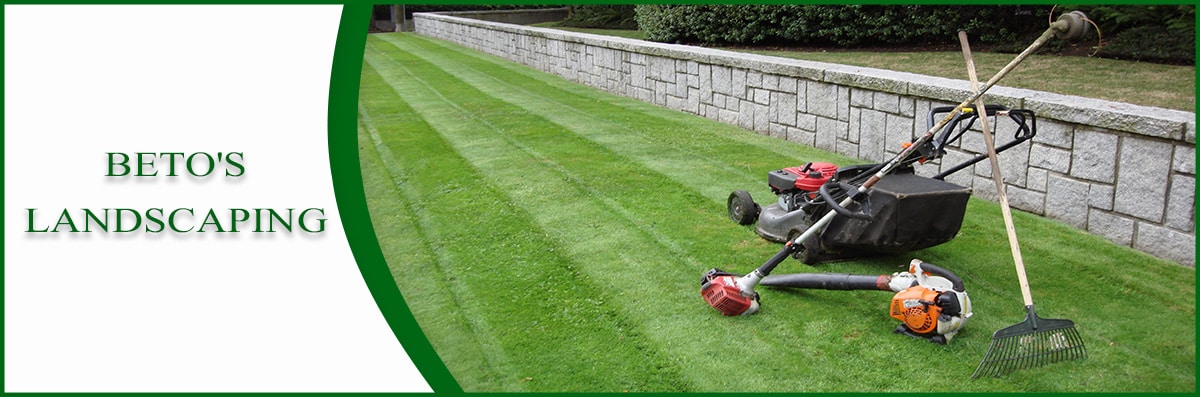 Lawn Maintenance